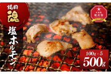 焼肉　魂　塩ホルモン100g×5 【 お肉 焼肉 焼き肉 やきにく タレ 漬け 付き 味付き にく 小分け 個包装 冷凍 BBQ アウトドア キャンプ 人気 北海道 簡単調理 焼くだけ お取り寄せ 旭川市 北海道 】_04954