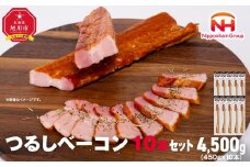 【ふるさと納税】つるし ベーコン 450g 10本 セット 北海道 旭川 食品 吊るしベーコン 燻製 厚切り バーベキュー 肉 手作り 日本ハム ギフト 送料無料 お取り寄せグルメ 高級 ハム はむ おつまみ スモーク おかず 惣菜 お弁当 冷蔵 小分け 大容量 全長 約 40cm_05335