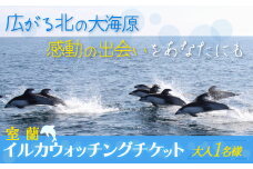 室蘭 イルカウォッチングチケット 大人1名様 【 ふるさと納税 人気 おすすめ ランキング 北海道 室蘭 大人 1名 イルカ ウォッチング クジラ チケット 観光 プライベート イベント 休日 北海道 室蘭市 送料無料 】 MROX003
