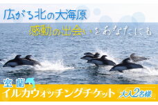 室蘭 イルカウォッチングチケット 大人2名様 【 ふるさと納税 人気 おすすめ ランキング 北海道 室蘭 大人 2名 イルカ ウォッチング クジラ チケット 観光 プライベート イベント 休日 北海道 室蘭市 送料無料】 MROX004
