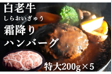 道産和牛ハンバーグ（200g）5個入り 【 ふるさと納税 人気 おすすめ ランキング 北海道産 和牛 ハンバーグ 肉 牛肉 和牛ハンバーグ 牛ハンバーグ 肉厚 デミグラス セット 大容量 詰合せ 北海道 室蘭市 送料無料 】 MROA045