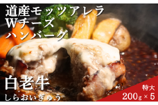 道産和牛ダブルチーズハンバーグ（200g）5個入り 【 ふるさと納税 人気 おすすめ ランキング 北海道産 和牛 ダブルチーズ Wチーズ ハンバーグ 肉 肉厚 チーズ モッツァレラチーズ デミグラス セット 大容量 詰合せ 北海道 室蘭市 送料無料 】 MROA047