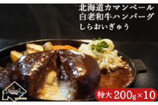 道産和牛カマンベールチーズハンバーグ（200g）10個入り 【 ふるさと納税 人気 おすすめ ランキング 北海道産 和牛 ダブルチーズ Wチーズ ハンバーグ 肉 肉厚 チーズ カマンベール デミグラス セット 大容量 詰合せ 北海道 室蘭市 送料無料 】 MROA050