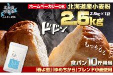 北海道産 「春よ恋」「ゆめちから」ブレンド小麦粉 パウダースノー（パン用強力粉）2.5kg 【 ふるさと納税 人気 おすすめ ランキング 小麦 小麦粉 粉 春よ恋 ゆめちから ブレンド パウダースノー パン用 強力粉 穀物 国産 北海道産 こむぎ こむぎこ  ギフト 贈答 プレゼント 贈り物 北海道 室蘭市 送料無料 】 MROBI009
