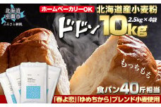 北海道産 「春よ恋」「ゆめちから」ブレンド小麦粉 パウダースノー（パン用強力粉）10kg【 ふるさと納税 人気 おすすめ ランキング 小麦 小麦粉 粉 春よ恋 ゆめちから ブレンド パウダースノー パン用 強力粉 穀物 国産 北海道産 こむぎ こむぎこ  ギフト 贈答 プレゼント 贈り物 北海道 室蘭市 送料無料 】 MROBI012