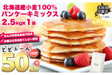 北海道パンケーキミックス 2.5kg 【 ふるさと納税 人気 おすすめ ランキング パンケーキミックス パンケーキ ミックス 小麦 小麦粉 粉 穀物 国産 北海道産 こむぎ こむぎこ デザート ギフト 贈答 プレゼント 贈り物 北海道 室蘭市 送料無料 】 MROBI005