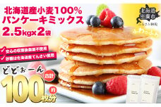 北海道パンケーキミックス 5kg 【 ふるさと納税 人気 おすすめ ランキング パンケーキミックス パンケーキ ミックス 小麦 小麦粉 粉 穀物 国産 北海道産 こむぎ こむぎこ デザート ギフト 贈答 プレゼント 贈り物 北海道 室蘭市 送料無料 】 MROBI006