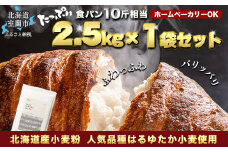 北海道産 はるゆたかブレンド小麦粉 シルバーライズ（パン用強力粉）2.5kg 【 ふるさと納税 人気 おすすめ ランキング 小麦 小麦粉 粉 シルバーライズ はるゆたか ブレンド パン用 強力粉 穀物 国産 北海道産 食パン パン こむぎ こむぎこ  ギフト 贈答 プレゼント 贈り物 北海道 室蘭市 送料無料 】 MROBI013
