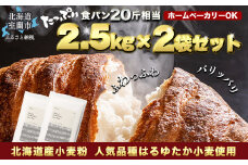 北海道産 はるゆたかブレンド小麦粉 シルバーライズ（パン用強力粉）5kg 【 ふるさと納税 人気 おすすめ ランキング 小麦 小麦粉 粉 シルバーライズ はるゆたか ブレンド パン用 強力粉 穀物 国産 北海道産 食パン パン こむぎ こむぎこ  ギフト 贈答 プレゼント 贈り物 北海道 室蘭市 送料無料 】 MROBI014