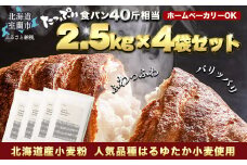 北海道産 はるゆたかブレンド小麦粉 シルバーライズ（パン用強力粉） 10kg 【 ふるさと納税 人気 おすすめ ランキング 小麦 小麦粉 粉 シルバーライズ はるゆたか ブレンド パン用 強力粉 穀物 国産 北海道産 食パン パン こむぎ こむぎこ  ギフト 贈答 プレゼント 贈り物 北海道 室蘭市 送料無料 】 MROBI016