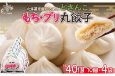 どさんこもち・プリ丸餃子40個（10個入り×4袋） 【 ふるさと納税 人気 おすすめ ランキング 北海道 室蘭 餃子 中華 ぷり丸餃子 40個 詰合せ ギフト 贈答 贈り物 セット プレゼント 自宅用 北海道 室蘭市 送料無料 】 MROV015