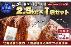 【毎月定期便】北海道産 はるゆたかブレンド小麦粉 シルバーライズ（パン用強力粉）2.5kg 全2回【ふるさと納税 人気 おすすめ ランキング 小麦 小麦粉 粉 シルバーライズ はるゆたか ブレンド パン用 強力粉 穀物 国産 北海道産 食パン パン こむぎ こむぎこ ギフト 贈答 プレゼント 贈り物 定期便 北海道 室蘭市 送料無料】MROBI025