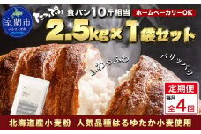【毎月定期便】北海道産 はるゆたかブレンド小麦粉 シルバーライズ（パン用強力粉）2.5kg 全4回【ふるさと納税 人気 おすすめ ランキング 小麦 小麦粉 粉 シルバーライズ はるゆたか ブレンド パン用 強力粉 穀物 国産 北海道産 食パン パン こむぎ こむぎこ ギフト 贈答 プレゼント 贈り物 定期便 北海道 室蘭市 送料無料】MROBI026