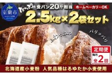 【毎月定期便】北海道産 はるゆたかブレンド小麦粉 シルバーライズ（パン用強力粉）5kg 全2回【ふるさと納税 人気 おすすめ ランキング 小麦 小麦粉 粉 シルバーライズ はるゆたか ブレンド パン用 強力粉 穀物 国産 北海道産 食パン パン こむぎ こむぎこ ギフト 贈答 プレゼント 贈り物 定期便 北海道 室蘭市 送料無料】MROBI027