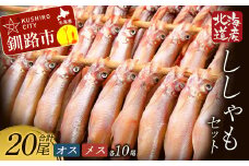【オスメス食べ比べ】北海道産・ししゃもセット ふるさと納税 ししゃも F4F-3597