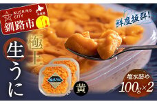 【鮮度抜群！特選・極上えぞバフンうに【黄】】塩水詰め100g×2個 ふるさと納税 うに F4F-0467