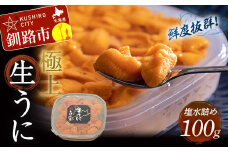 【鮮度抜群！極上生ウニ】生うに塩水詰め100g ふるさと納税 うに F4F-3208