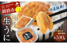 【食べ比べセット】生うに折100g&塩水うに100g ふるさと納税 うに F4F-0566