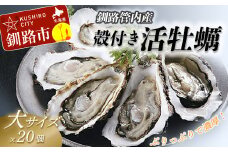 【ぷりっぷりで濃厚！】釧路管内産【活】牡蠣（大）20個 ふるさと納税 牡蠣 F4F-0382