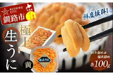 【鮮度抜群！特選・特上えぞバフンうに食べ比べセット【黄】】塩水詰め100g×折ウニ100g ふるさと納税 うに F4F-0468