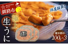 生うに塩水詰め100g×3【鮮度抜群！極上生えぞバフンうに】 ふるさと納税 うに F4F-3214