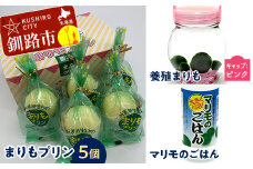 阿寒湖銘菓まりもプリン5個入と養殖まりもセット（ピンク） 北海道 釧路 ふるさと納税 養殖まりも 飼育 プリン カスタード スイーツ 菓子 F4F-1862