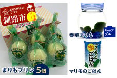 阿寒湖銘菓まりもプリン5個入と養殖まりもセット（ブルー） 北海道 釧路 ふるさと納税 養殖まりも 飼育 プリン カスタード スイーツ 菓子 F4F-1863