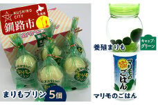 阿寒湖銘菓まりもプリン5個入と養殖まりもセット（グリーン） 北海道 釧路 ふるさと納税 養殖まりも 飼育 プリン カスタード スイーツ 菓子 F4F-1864