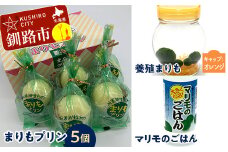 阿寒湖銘菓まりもプリン5個入と養殖まりもセット（オレンジ） 北海道 釧路 ふるさと納税 養殖まりも 飼育 プリン カスタード スイーツ 菓子 F4F-1865
