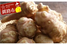 【10月下旬頃より順次発送】生菊芋 F4F-3261