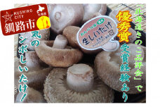 北海道音別産 菌床ジャンボ生しいたけ 280g×2パック しいたけ 椎茸 きのこ 肉厚 菌床しいたけ F4F-0800