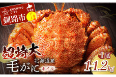 超特大級毛がに1.0kg～1.2kg×1尾 ふるさと納税 蟹 F4F-0690