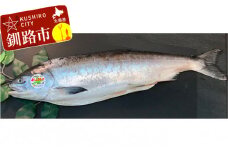 釧路産定置網活じめ時知らず1本（切身） 鮭 トキシラズ 切身 活じめ 釧路 海産物 F4F-3756
