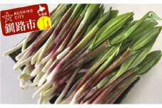 釧路産・天然 鮮度そのまま行者にんにく 250g×2 F4F-0539