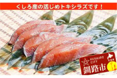 船上活じめ 釧路定置 時鮭（ときしらず・時さけ）半身 小 約600g 北海道産 F4F-1557