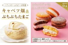 北海道 釧路発 大人気 スイーツ メイン ＋ 5種 から 選べるセット ④キャベツ畑＋ぷちぷちたまご F4F-4286