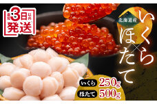 ★レビューキャンペーン実施中！★ 【通常発送】笹谷商店 いくら醤油漬け250g＆ほたて貝柱500g  決済から7日前後で発送 F4F-7860