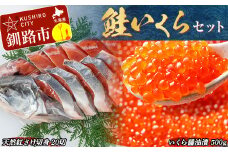 鮭 いくら セット ふるさと納税 イクラ さけ しゃけ 醤油漬け 親子漬け 魚卵 魚介 海鮮 おかず F4F-8141