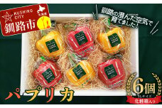 【5月より順次発送】 パプリカ 3Lサイズ×6個 野菜 サラダ 北海道野菜 生野菜 旬 冷蔵 北海道 ピーマン 甘い 送料無料 贈答 ギフト F4F-2276
