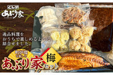 町炉端を楽しむあぶり家セット（梅）さば 半身 牛タン ハンバーグ 帆立 ポーク カレー 餃子 釧路 F4F-2471