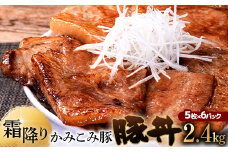 9月発送   かみこみ豚の豚丼 80g×5枚×6パック 計30枚 合計 2.4kg 豚肉 豚丼 北海道 十勝 ご当地グルメ 真空 豚 ポーク ロース 豚ロース F4F-2320