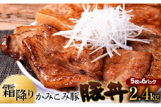 11月発送   かみこみ豚の豚丼 80g×5枚×6パック 計30枚 合計 2.4kg 豚肉 豚丼 北海道 十勝 ご当地グルメ 真空 豚 ポーク ロース 豚ロース F4F-2322
