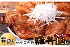 9月発送   かみこみ豚の豚丼 80g×5枚×3パック 計15枚 合計 1.2kg 豚肉 豚丼 北海道 十勝 ご当地グルメ 真空 豚 ポーク ロース 豚ロース F4F-2307