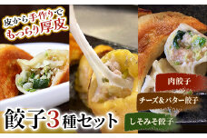 肉餃子・しあわせの黄色いチーズ＆バター・しそみそ餃子 F4F-2513