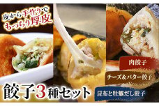 肉餃子・しあわせの黄色いチーズ＆バター・昆布と牡蠣の旨味だし餃子 F4F-2514