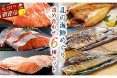 通常発送 海鮮 詰め合わせ 6種セット 北の海鮮めぐり 鮭 サーモン さんま ほっけ 干物 刺身 紅鮭 銀鮭 開きホッケ セット 海鮮福袋 F4F-2791
