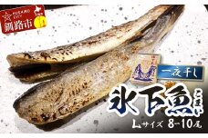 一夜干し氷下魚(L) 8-10尾 ふるさと納税 干物 北海道 釧路 海鮮 こまい コマイ おつまみ 居酒屋 肴 魚介 魚 F4F-3285