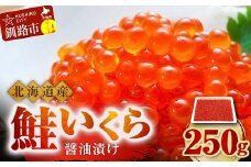 7月発送  北海道産 鮭 いくら 醤油漬け 250g×1パック  F4F-5236