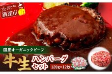 9月発送 生ハンバーグ120g×12枚 釧路生まれ、釧路育ちのオーガニックビーフ  F4F-3509