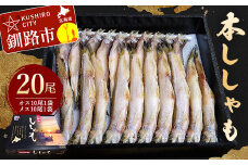 本ししゃも20尾 (オス10尾×1袋、メス10尾×1袋) シシャモ ししゃも 本ししゃも 北海道産 国産 魚 魚介 F4F-5548